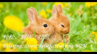 逗趣兔 -  轻松、解压、疗愈、作业用BGM | Relaxing, Stress Relief, Studying BGM