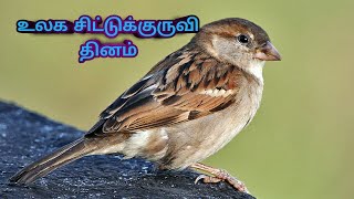 உலக சிட்டு  குருவி தினம்