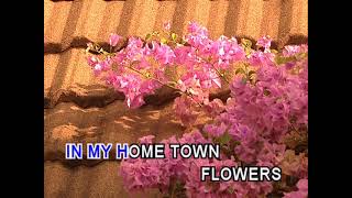 Spring Has Arrived