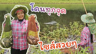 #ตกปลาคันไม้ไผ่ หมานสุดๆ ลงจุดไหนก็โดน งัดเพลินเลย