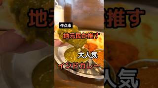 【茨城県牛久市】DIPIKA #茨城県 #茨城 #牛久 #牛久市 #インドカレー