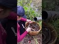 unbelievable oil fishing technique with the most unique survival skills fishing