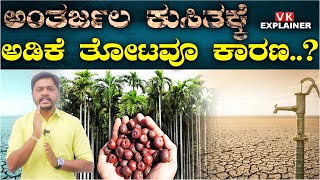 Explainer Video: ರಾಜ್ಯದೆಲ್ಲೆಡೆ ಪಾತಾಳ ತಲುಪಿದ ಅಂತರ್ಜಲ! ಅಡಿಕೆ ತೋಟ ಹೆಚ್ಚಳವೂ ಕಾರಣ? | Vijay Karnataka