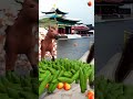 Literally, literal🥒🍑💲3D Special Effects | 3D Animation #shorts #vfx