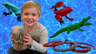 LEARNING and playing with a NEW box of REPTILES! Kid's toy reptile animals