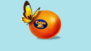 Cuties - The First Clementine