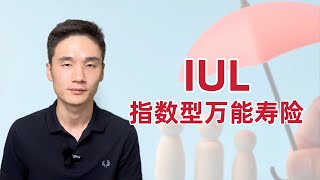 3分钟了解指数型万能寿险IUL丨新加坡保险