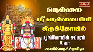 நெல்லை ஸ்ரீ நெல்லையப்பர் கோயில் - பூங்கோயில் சப்பரம் உலா | Sri Nellaiyappar Temple | Jothi Tv