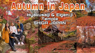 Autumn in Japan|Hyakusaji Temple|Eigen-ji Temple|SHIGA JAPAN