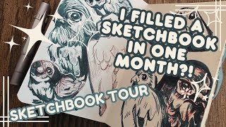 ✨ I FILLED A SKETCHBOOK IN A MONTH ✨ Fountain Pen Art, Doodles, Studies || Dec 2024 Sketchbook Tour