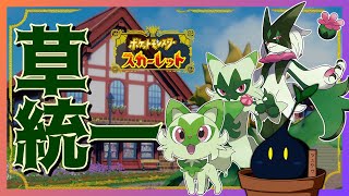 【ポケットモンスター スカーレット】バトル下手くそだけど草タイプ統一でランクバトルするぞ！(｀・ω・´)