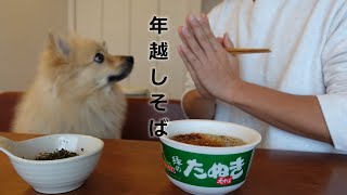 愛犬と年越しそばを食べながら語り合う2020