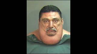 Palm Beach Mugshots