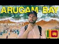 Arugam Bay Peak Season - Is it worth it!? 🇱🇰