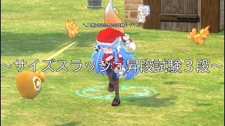 【マビノギ】占星術スキル「サイズスラッシュ」昇段試験３段SSクリア