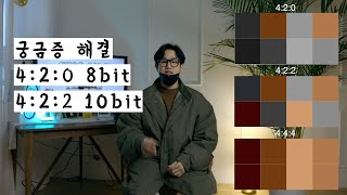 영상에서 4:2:2 10bit? 4:2:0 8bit? 차이를 확실히 알려드립니다!! (feat. Atomos Ninja V, 캐논 Canon Eos R)