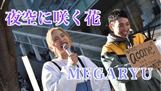 夜空に咲く花/MEGARYU｟acane　cover｠