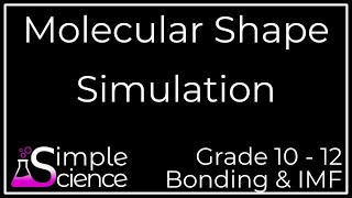 Molecular Shape Simulation