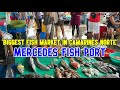 MERCEDES FISH PORT of Camarines Norte | Biggest Seafood Market in BICOL + Explore DAET to MERCEDES