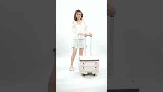 Thinnest Foldable Utility Cart: Wellmax WM99800 with Collapsible Box \u0026 Lid | 132 lbs Capacity