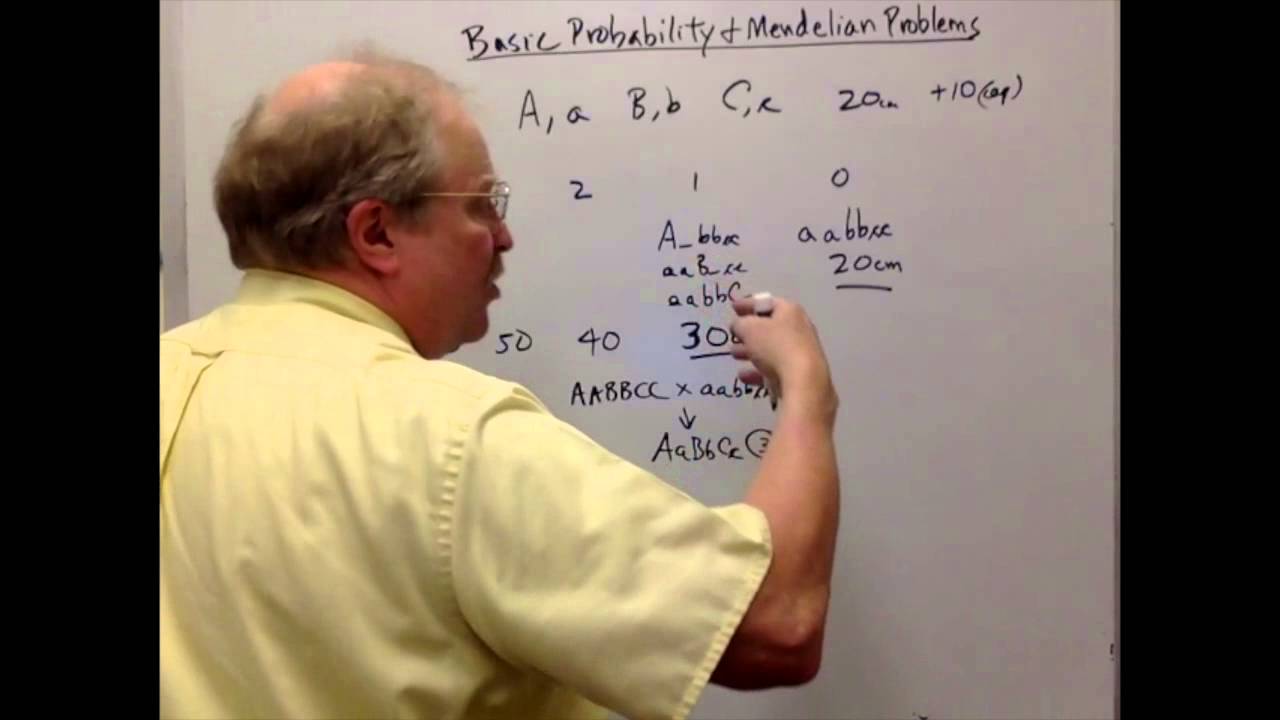 Basic Probability And Statistics Problems - YouTube