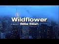 Billie Eilish - Wildflower (lyrics)