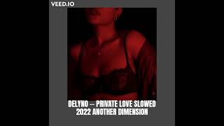 DELYNO - PRIVATE LOVE SLOWED 2022 VERSION