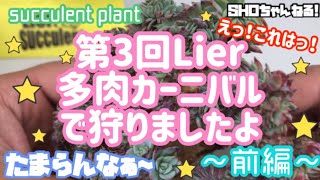 【多肉植物】【Lier苗】第3回Lier多肉カーニバルで狩りましたよ🌈前編