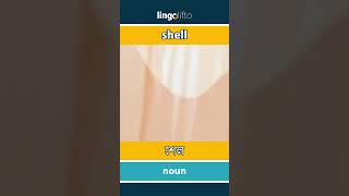 🇬🇧🇧🇩 shell - শেল : learn English : আসুন ইংরেজি শিখি