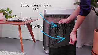 How to Clean The Pre-Filters in Air Doctor