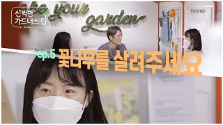 신박한 가드너스 팁 [실전편] EP.5 꽃나무를 살려주세요