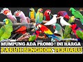 HARGA BURUNG PARUH BENGKOK TERBARU 2023 DI KIBAR EXOTIC PETS STORE JAWA TIMUR