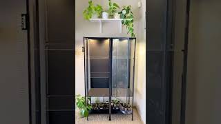 IKEA Greenhouse Cabinet: RUDSTA Tall Part 1 🍃  Subscribe for part 2