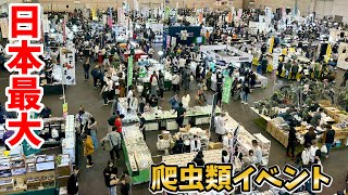 Japan's largest reptile event, where all the shops were serious, was just too awesome!!