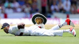 The Furred Umpire's extreme 'use a cricketer' weight-training regime