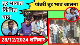 पांढरी तुर भाव जालना दिनांक 28/12/2024 || तुर भावात किंचित वाढ