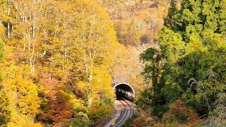 国道252号線でJR只見線に沿って走り、水害による長らくの運休が終わり、運転再開に沸く只見駅周辺を歩く。新潟福島県境の六十里越は、紅葉シーズン真っ最中。色鮮やかな木々に囲まれ線路は延びる