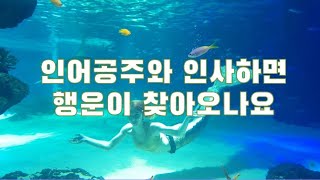 계속 계속 보게되는 인사하는 인어공주