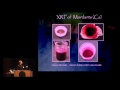 The Non-Invasive Analysis of Painted Surfaces - Brian Baade (13 of 14)