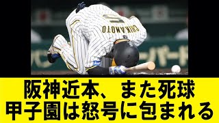 阪神近本、また死球。甲子園は怒号に包まれる【反応集】【野球反応集】【なんJ なんG野球反応】【2ch 5ch】