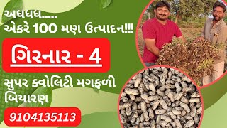 સુપર ક્વોલિટી ગીરનાર 4 મગફળી બિયારણ અધધ....100 મણ એકરે -9104135113