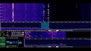 80m band [live]