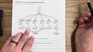 Oswald Avery Identifies DNA Mini Lecture