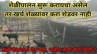 खर्च शेळी खरेदी करण्यासाठी करा शेड उभारण्यासाठी नाही... (farming vlogs special) @farmingvlogs