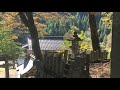 【art散策】鳥取県智頭町　芦津神社