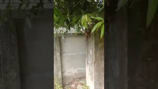 ERNAKULAM- CHERANALLOR 129.5 CENTS LAND FOR SALE