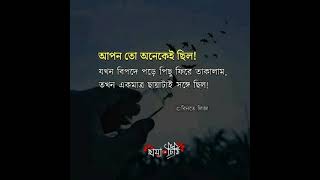 বিপদে শুধু ছায়াটা একমাত্র আপন (2)