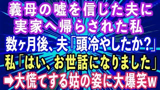 【スカッとする話】嫁いびり義母が夫に嘘を吹き込み「反省しろ！」と実家へ帰らされた私。数ヶ月後に「頭冷やしたか？」私「はい、今までお世話になりました」→大慌てする姑の姿に大爆笑www