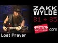 Zakk Wylde plays 