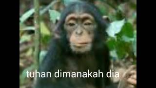 76 Foto Gambar Lucu Wa Terbaik 76 Foto Gambar Lucu Wa Terbaik